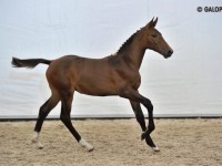 Jazz de Semilly